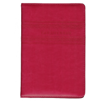 Ежедневник Yl-E-424