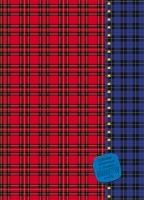 Дневник школьный «Красная и синяя клетка»