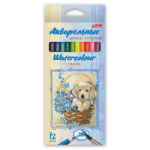 Акварельные цветные карандаши Hatber 12 цв