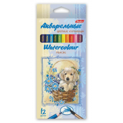 Акварельные цветные карандаши Hatber 12 цв