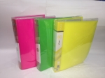 Папка файловая 80 листов XY160814-80 Display Book