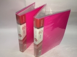 Папка файловая 60 листов XY160814-60 DISPLAY BOOK